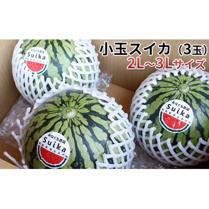 【在庫数限定】小玉スイカ（3玉）1玉約1.8kg～2.8kg 果物類 