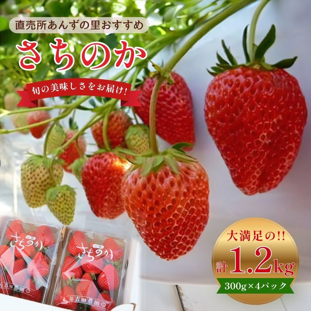 【ふるさと納税】【先行予約】さちのか いちご 300g×4パック 計1.2kg いちご イチゴ 苺 果物 フルーツ デザート おやつ 九州産 国産 福岡県産 福津市 送料無料 【2027年1月より順次発送】[Z4127]