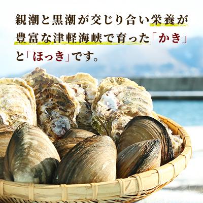 ふるさと納税 北斗市 北斗市産　峩朗かき・殻付ほっきの詰め合わせ |  | 01