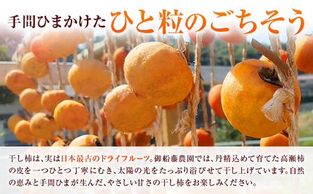 【先行予約】昔ながらの 干し柿 8個 柿 果物 フルーツ かき 高瀬柿 御船藤農園《2026年11月中旬-2027年1月中旬頃出荷》熊本県 御船町 ドライフルーツ 甘味 くだもの 和菓子 熊本県産 お