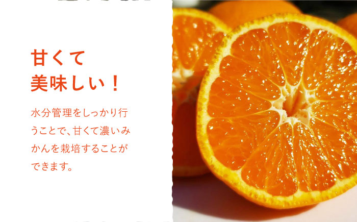 濃くて甘くて、さっぱりおいしい！