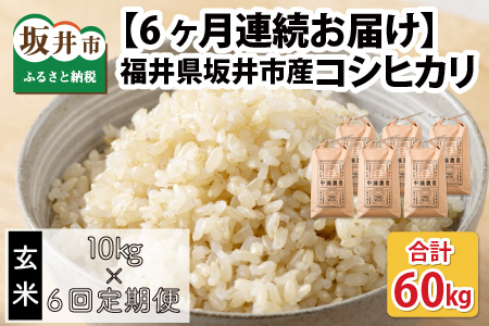 【令和7年産・新米先行予約】【6ヶ月定期便】 コシヒカリ10kg×6回　合計60kg（玄米）【2025年10月より順次発送予定】【2025年10月上旬より順次発送】 【米定期便 玄米定期便 回数定期便 こめ定期便 10キロ定期便 定期便】 [N-11302_02]