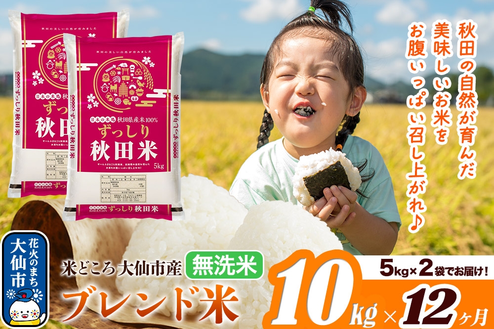 
                  米《定期便12ヶ月》米どころ 秋田県大仙市産 ブレンド米【無洗米】10kg（5kg×2袋） [米 お米 こめ 白米 無洗米 ブレンド米 小分け ご飯 ごはん 米どころ 秋田県産 大仙市]
                