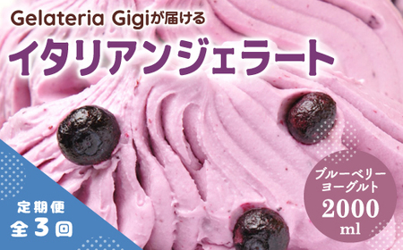 【定期便：全3回】ジェラテリアGigiのイタリアンジェラート『ブルーベリーヨーグルト』2000ml【43005803】