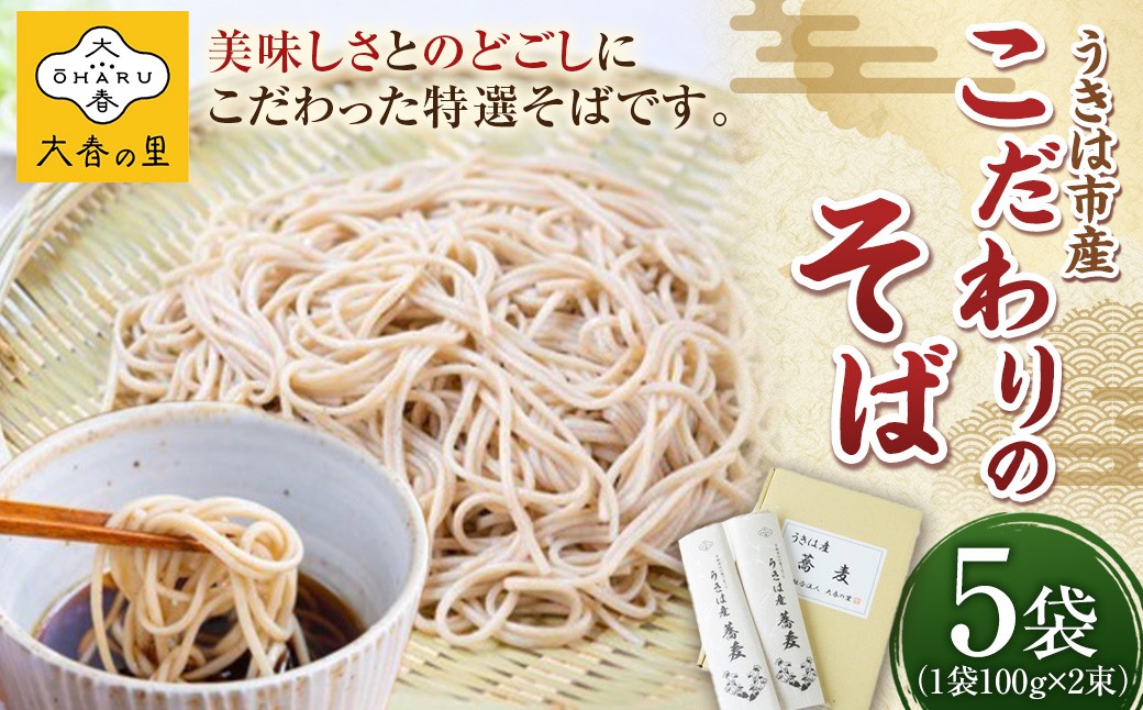 
            大春の里 うきは産こだわりのそば (乾蕎麦麺 200g (100g×2) 5袋入り) ソバ 蕎麦 そば 麺 乾麺 麺類 福岡県 うきは市
          
