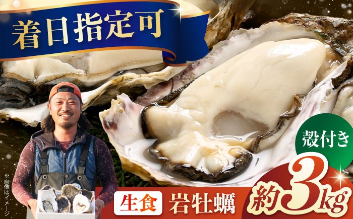 
                  【先行予約/日時指定可】生食用 殻付き 雲仙夏牡蠣 岩ガキ 長崎産（3kg）＜5～7月発送＞ 長崎県/株式会社天洋丸 [42ALAC003] 牡蠣 岩牡蠣 かき カキ 岩がき 岩カキ 海鮮 貝 海の幸 魚貝 殻付き 生食 生食可能 冷蔵 長崎 雲仙
                