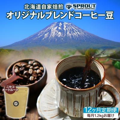 ふるさと納税 倶知安町 【毎月定期便】自家焙煎 コーヒー豆 1.2kg 計14.4kg SPROUT 北海道全12回