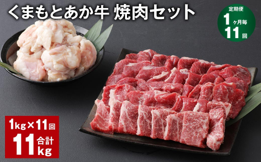 【1ヶ月毎11回定期便】 くまもとあか牛 焼肉セット 計約11kg（約1kg✕11回） 焼肉 もも ホルモン
