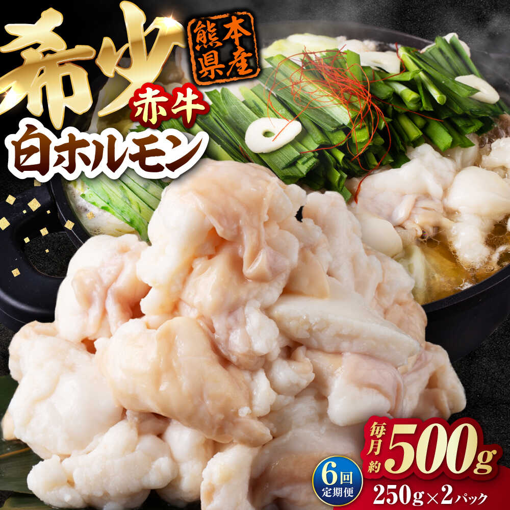 【ふるさと納税】【全6回定期便】 赤牛 ホルモン 500g（250g×2パック） / お肉 肉 牛肉 あか牛 小腸 シロホルモン もつ 熊本県産 冷凍【五右衛門フーズ熊本店】[AYBV038]