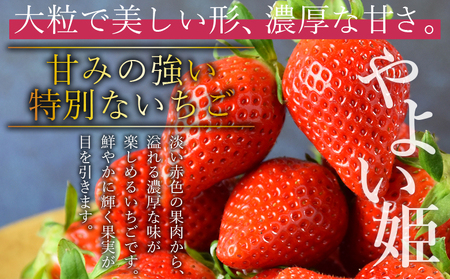 ＜高級いちご「やよい姫」（15粒×2パック 約760g以上）簡易包装＞2025年1月上旬から4月末迄に順次出荷 【 簡易包装 ご家庭用 いちご イチゴ 苺 先行予約 甘い 果物 フルーツ 季節物 お祝