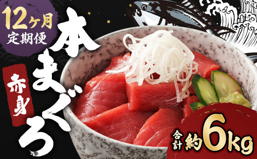 【12ヶ月定期便】長崎県産 本マグロ 赤身 500g 鮪 魚 刺身 【大村湾漁業協同組合】