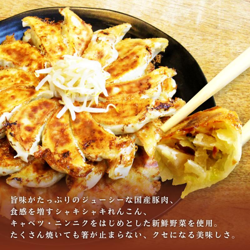 浜松餃子 むつみ餃子120個入り(30個入り×4P)　冷凍便 レンコンたっぷり タレ、辛子付 むつみ屋 産地直送 惣菜 加工品 餃子 ぎょうざ ギョーザ 【配送不可：離島】 