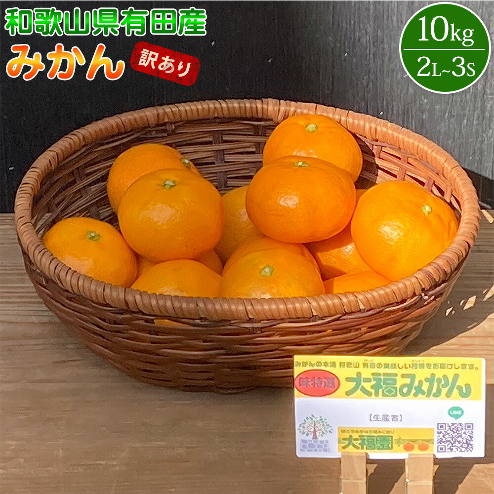 
            BT6008n_和歌山県有田産 みかん 10kg 2L～3Sサイズ（おまかせ）【訳あり・家庭用】
          