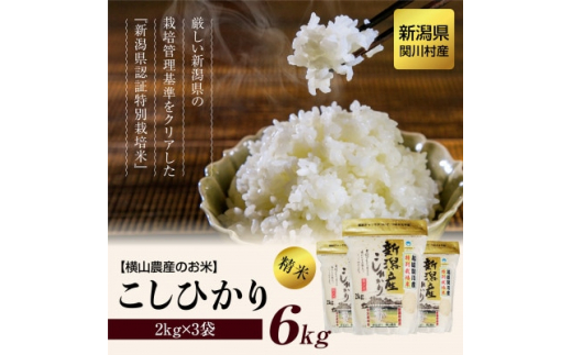 
横山農産のお米 こしひかり精米6kg(2kg×3袋)【1347088】
