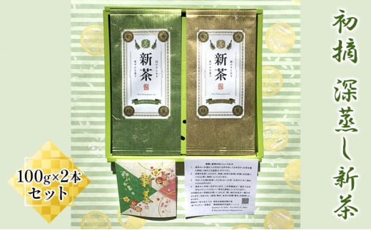 [№5695-1109]【採れたて2025年新茶！】初摘　深蒸し新茶100g×2本セット【2025年5月上旬以降より順次発送】 お茶 緑茶 