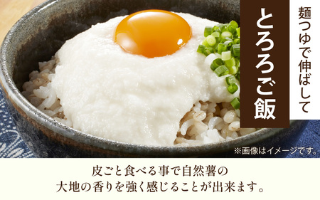 【期間限定】【数量限定】【訳あり】自然薯カット　サイズ不揃い　800g以上