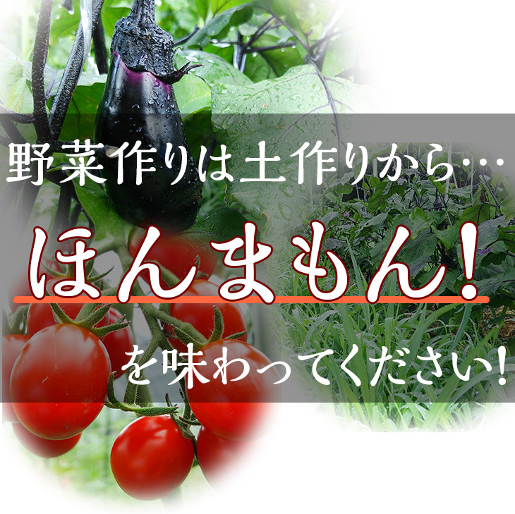 【定期便】＜アスカ有機農園＞（栽培期間中農薬・化学肥料不使用）旬の京野菜セットL（平飼い卵付）＊毎月お届け全１２回