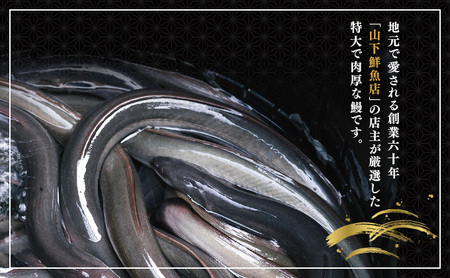 ＜2026年7月配送＞うなぎ白焼き 400g (200g×2尾)