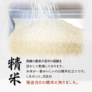 會津特選米 松平 3kg (会津若松市産コシヒカリ)｜令和7年 会津産 米 白飯 お米 2025年 こしひかり コシヒカリ コメ 新米 [1064-1066]