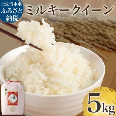 ふるさと納税 土佐清水市 令和6年産 新米 ミルキークイーン精米5kg 白米 お米 ご飯 米 高知県産【R01180】 | 