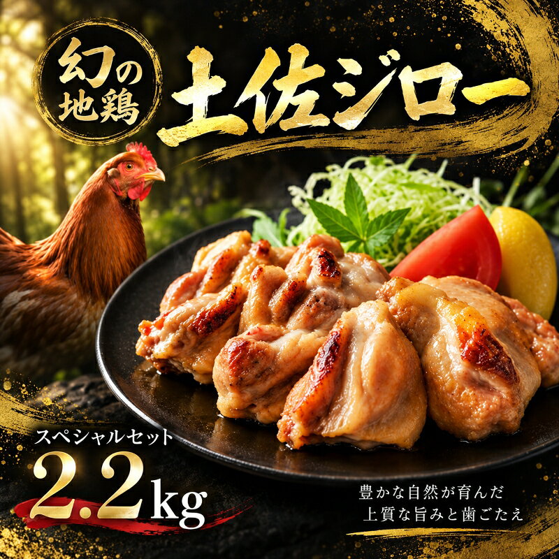 【ふるさと納税】 土佐ジロー スペシャルセット 冷凍 炭火焼き 唐揚げ バーベキュー 親子丼 鶏肉 ブランド地鶏 特産品 グルメ 国産 鳥肉 とさじろー 04-11 セット商品 ギフト 贈り物 おすすめ 人気 安芸市 高知県