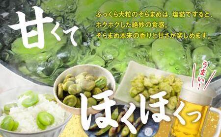 旬の味覚 そらまめ 約2kg【2024年5月上旬～2024年6月上旬配送】【T006-214】