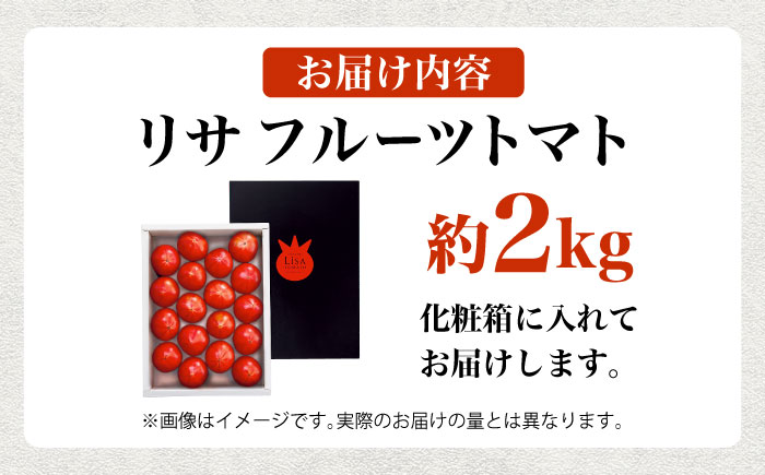 リサフルーツトマト 約2kg トマト とまと 野菜 【株式会社 堀】 [ATDA003]