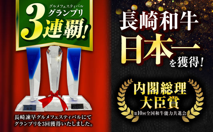 極上 ヒレ ステーキ 300g（150g×2枚） / 牛肉 牛 肉 和牛 ヒレステーキ 長崎和牛 A4～A5ランク 希少部位 / 諫早市 / 野中精肉店 [AHCW004]