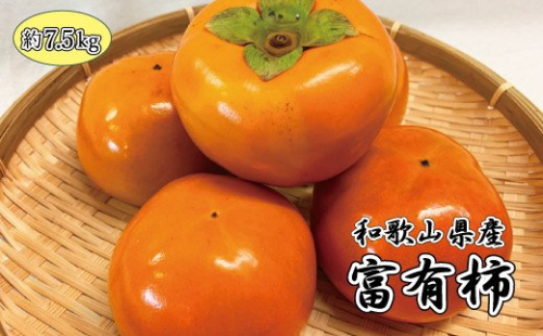和歌山秋の味覚　富有柿　約7.5kg　※2025年11月上旬頃〜2025年12月上旬頃に発送（お届け日指定不可）