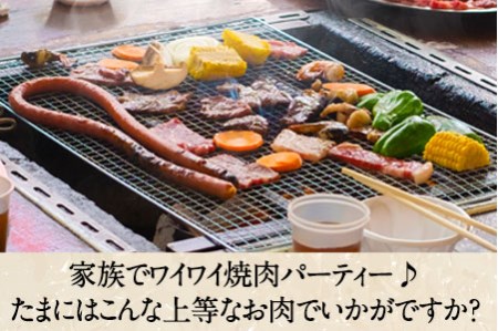 肥後のあか牛 焼き肉用 500g 長洲501 熊本 特産 あか牛《90日以内に出荷予定(土日祝除く)》