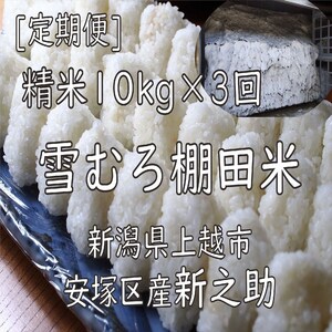 令和7年 新潟県産 棚田米 新之助 精白米 定期便 30kg 30キロ (10kg×3回) 雪中貯蔵 雪むろ しんのすけ 精米 お米 こめ 新潟 上越 米 送料無料