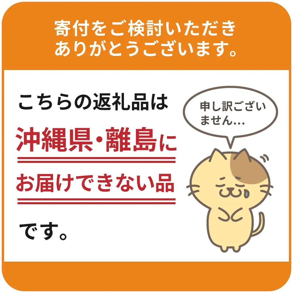 アクセサリー 【ANGEL WING】プラネットゴールド 合金 群馬県 千代田町 ＜パルヴォンジャパン＞ ※沖縄・離島地域へのお届け不可