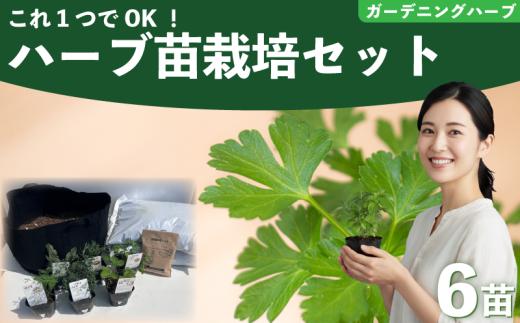 ハーブ 苗 栽培キット ガーデニングハーブ 6品種 花苗 苗木 ガーデニング 寄せ植え プランター 土 肥料 付き プレゼント 育成セット 日用品 園芸 花苗 おすすめ セット ポタジェガーデン 埼玉