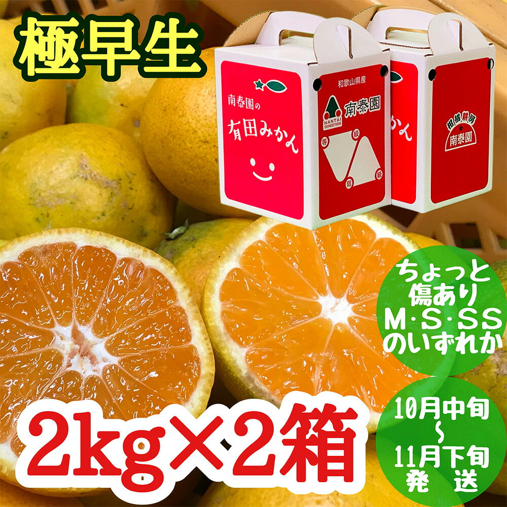 【ふるさと納税】ちょっと 傷あり 極早生 みかん 有田 M～SSサイズ 約2kg × 2箱 手さげ箱 南泰園【ミカン 蜜柑 柑橘 温州みかん 和歌山 有田】