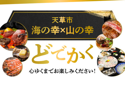 S999-T12_【定期便4回】どでかく堪能！山海の幸定期便