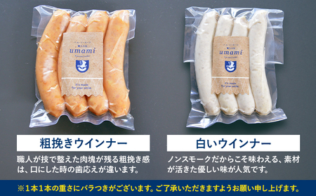ハム ソーセージ 詰め合わせ ギフト B 豚肉 厚切り ハム ステーキ 鶏肉 スモーク チキン ソーセージ ウィンナー ベーコン 加工品 福袋 Umami