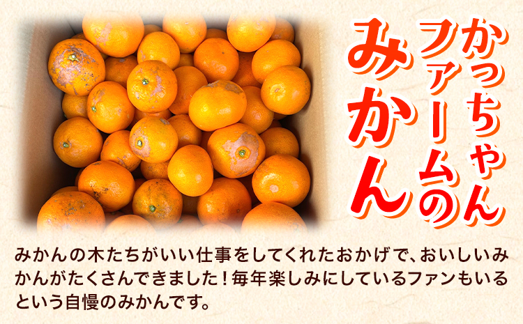 ご家庭用『かっちゃんファーム』のご家庭用みかん★ 約10kg【2S-2Lサイズ(大小サイズ混合)】 自然本来のおいしさ！《1月上旬-1月末頃出荷》