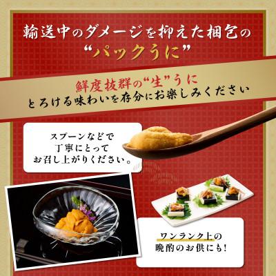 ふるさと納税 登別市 蝦夷ばふんうにパック詰 100g×1枚 |  | 02