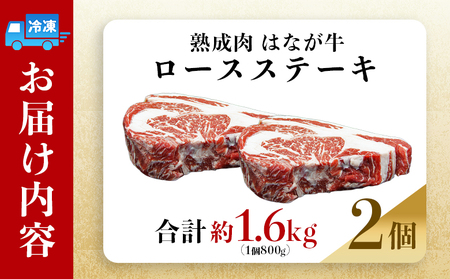 ＜熟成肉 はなが牛リブロースブロック約1.6kg（800g×2個）＞ 牛肉 ステーキ 鉄板焼き 焼き肉 国産 塊肉 かたまり 霜降り しもふり バーベキュー BBQ キャンプ アウトドア 特産品 ゆう