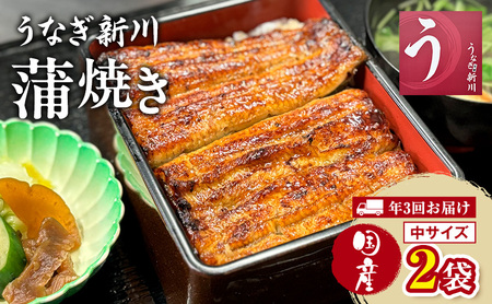 【年3回お届け】定期便 うなぎ新川 蒲焼き（国産中サイズ）2袋入り 鰻 うなぎ蒲焼 蒲焼 国産 国産うなぎ 三河一色産 タレ付き うな重 冷凍 成田市 千葉県