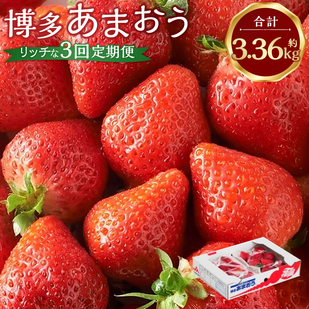 【ふるさと納税】博多あまおうリッチな3回定期便 1ヶ月毎 3回 あまおう いちご イチゴ 苺 フルーツ くだもの 果物 果実 デザート 冷蔵 福岡県産 国産 福岡県 太宰府市 送料無料 【2026年12月上旬～2027年2月下旬発送予定】