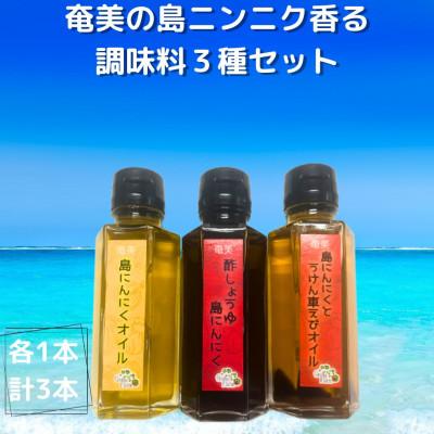 ふるさと納税 宇検村 奄美の島ニンニクが香る　調味料3種セット