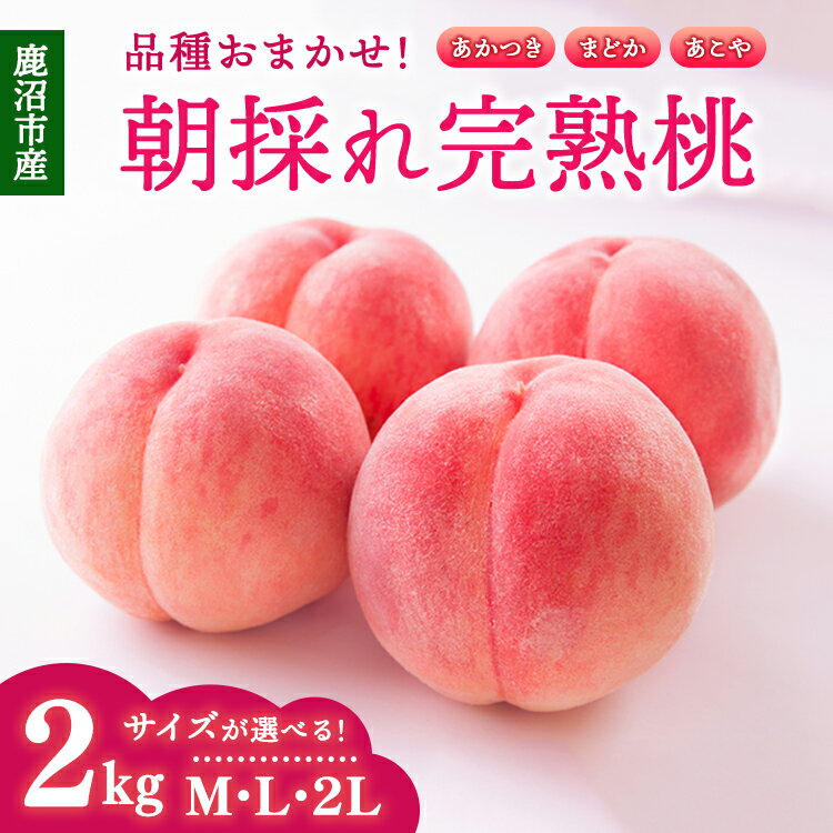 【ふるさと納税】＼選べるサイズ／＜先行予約＞【品種おまかせ】鹿沼市産 もも （2kg） M L 2L ｜ 桃 モモ もも 栃木県 果物 くだもの フルーツ あかつき まどか あこや 新鮮 贈答 ギフト ※2026年7月下旬～8月中旬頃に順次発送予定 ※北海道・沖縄・離島への配送不可