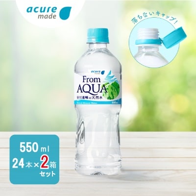 【JR東日本クロスステーション】From AQUA 谷川連峰の天然水　550ml×24本×2箱