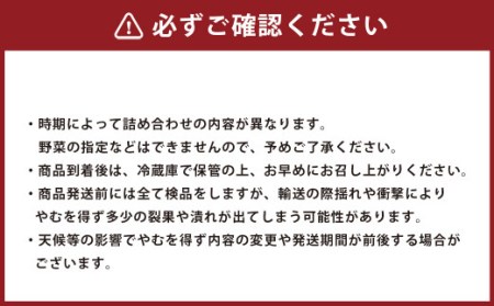 【10種類】熊本県産 肥後の国 野菜の詰め合わせセット