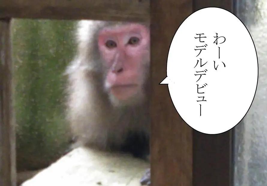 やくさるTシャツDRY 子供 　身長110cm【赤】