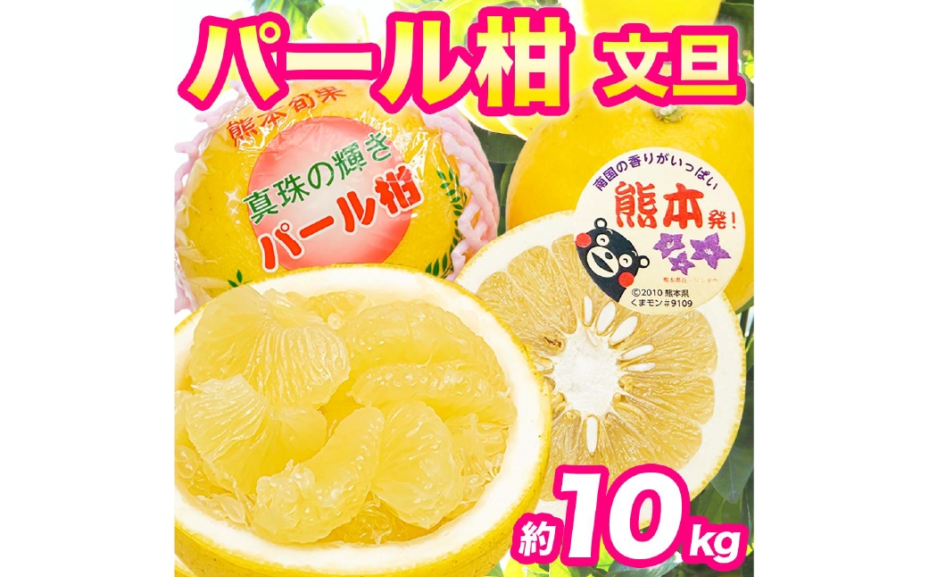 
                  パール柑 約10kg 柑橘系 柑橘類 柑橘 果物 くだもの フルーツ 果実 果汁 果肉 国産 熊本県産 【 2027年3月上旬から3月下旬発送予定 】
                