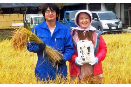 ≪令和7年産≫【6ヶ月定期便】減農薬栽培 ひとめぼれ 玄米 10kg（5kgx2袋） 【1112】