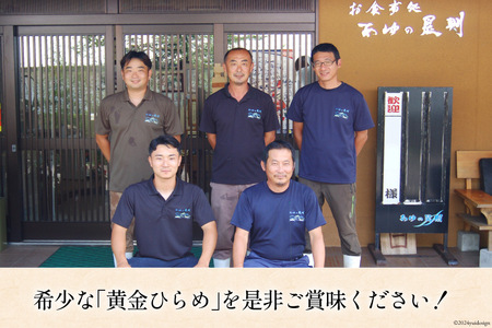 魚 黄金ひらめの活きジメ 1尾 [あゆの是則 宮崎県 日向市 452060877]