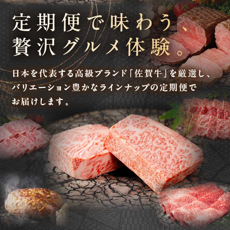 【発送月固定 定期便】肉の定期便! 厳選 佐賀牛 隔月お届け（奇数月）全6回 J1169